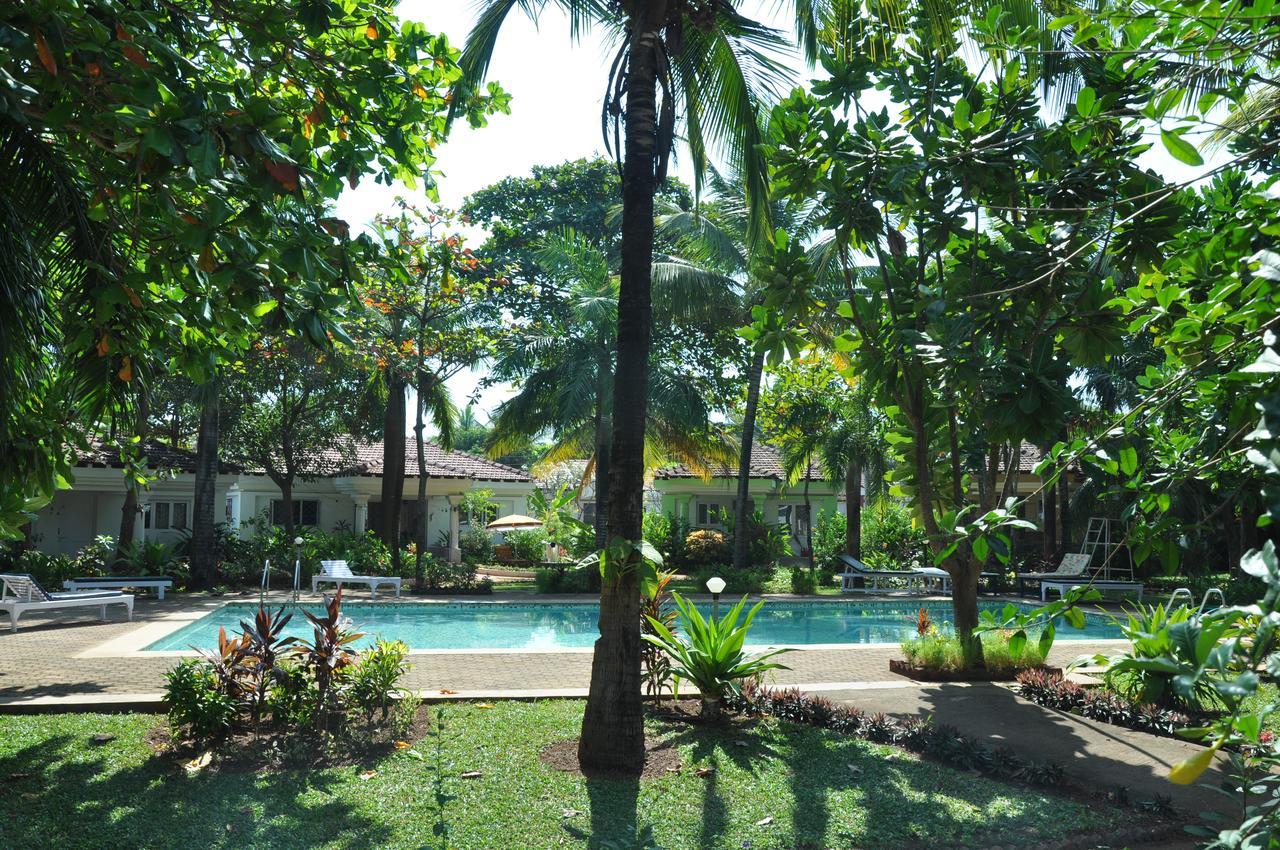 Villa La Casita 卡维洛瑟姆 外观 照片